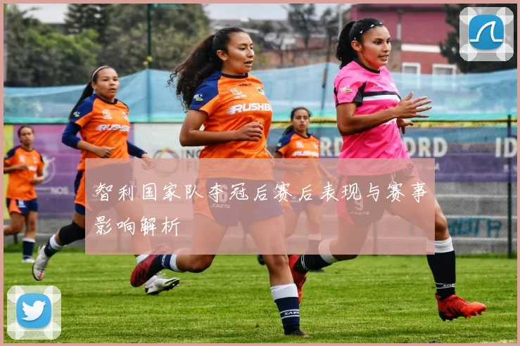 智利国家队夺冠后赛后表现与赛事影响解析
