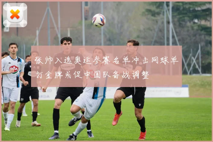 张帅入选奥运参赛名单冲击网球单打金牌或促中国队备战调整