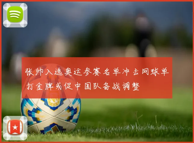 张帅入选奥运参赛名单冲击网球单打金牌或促中国队备战调整