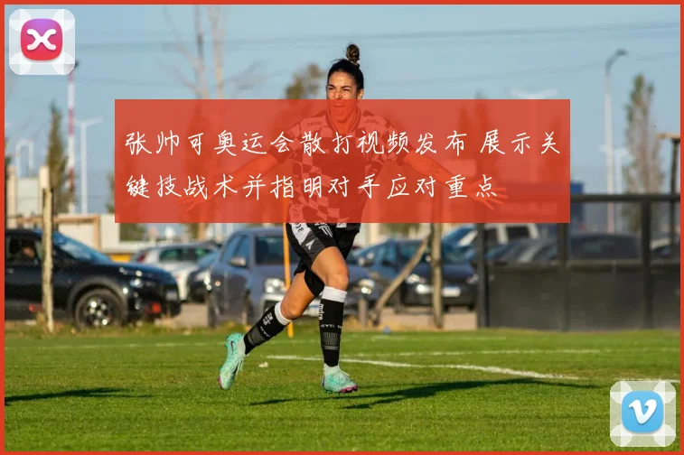 张帅可奥运会散打视频发布 展示关键技战术并指明对手应对重点