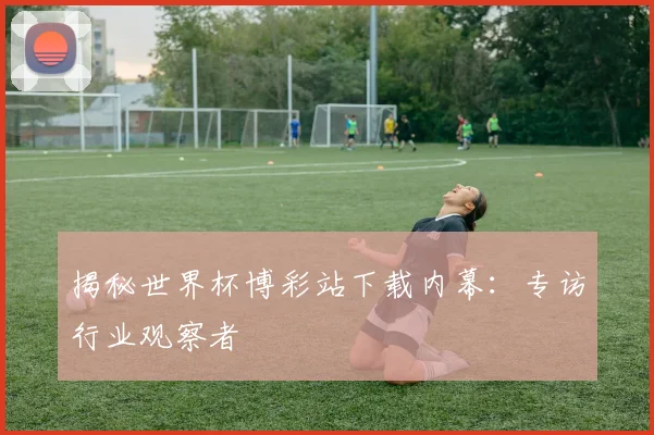 揭秘世界杯博彩站下载内幕：专访行业观察者