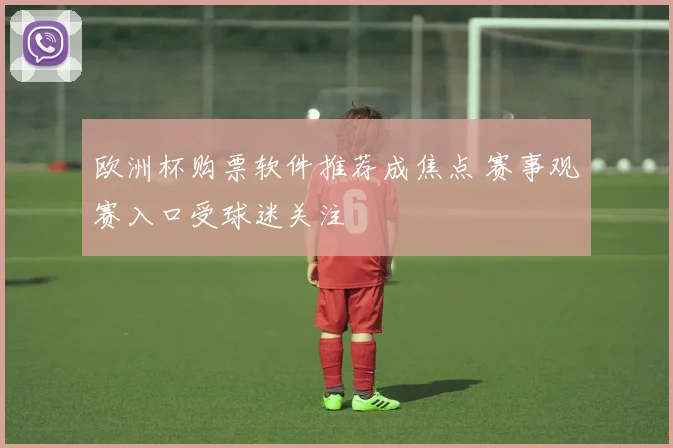 欧洲杯购票软件推荐成焦点 赛事观赛入口受球迷关注