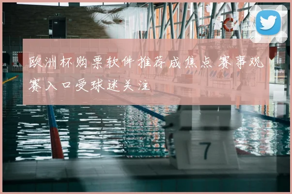 欧洲杯购票软件推荐成焦点 赛事观赛入口受球迷关注